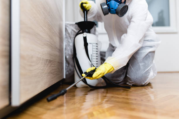 Best Pest Prevention Services  in Bromley, KY