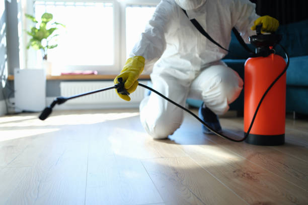 Trusted Bromley, KY Pest Control Experts